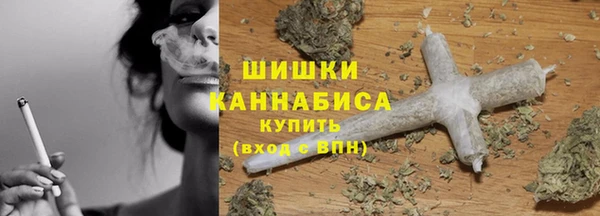 твердый Алзамай
