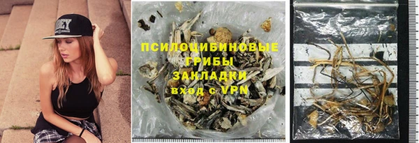 твердый Алзамай